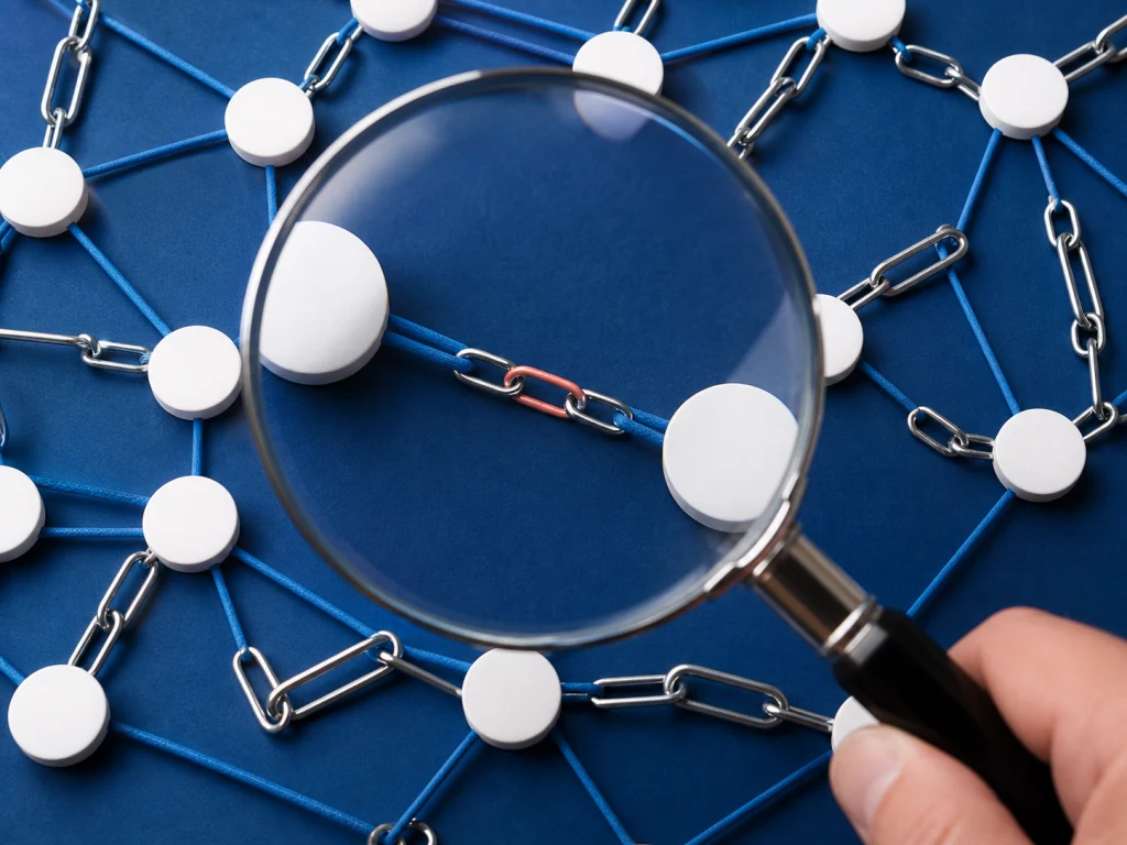 Analyste auditant le profil de liens d’un domaine sur écran